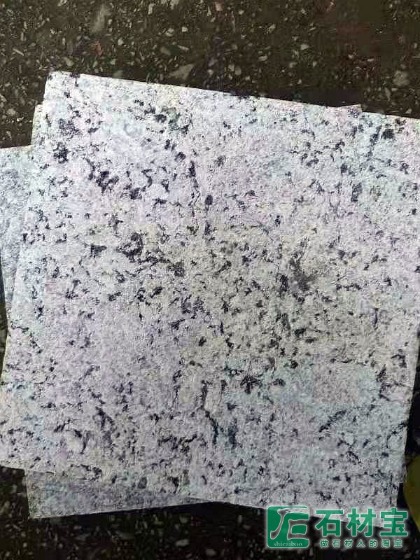 浪花白(海浪花)