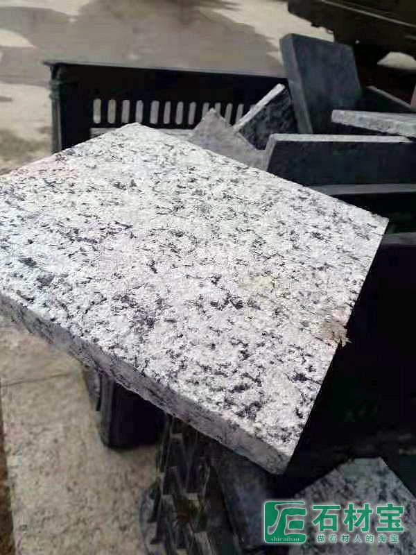 浪花白(海浪花)