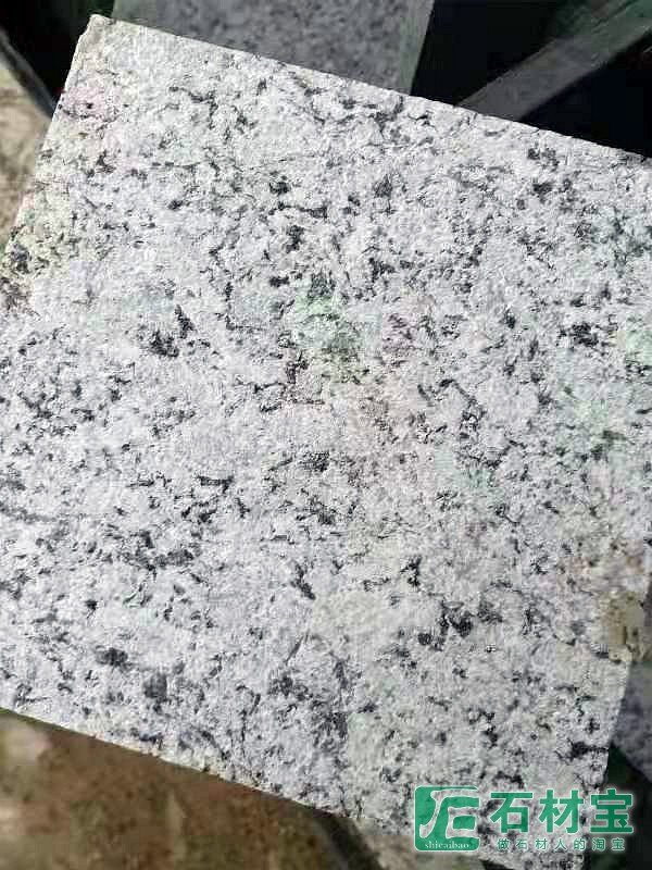 浪花白(海浪花)