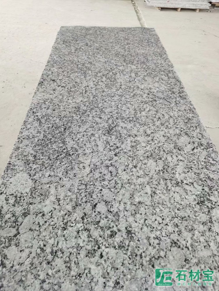 浪花白(海浪花)