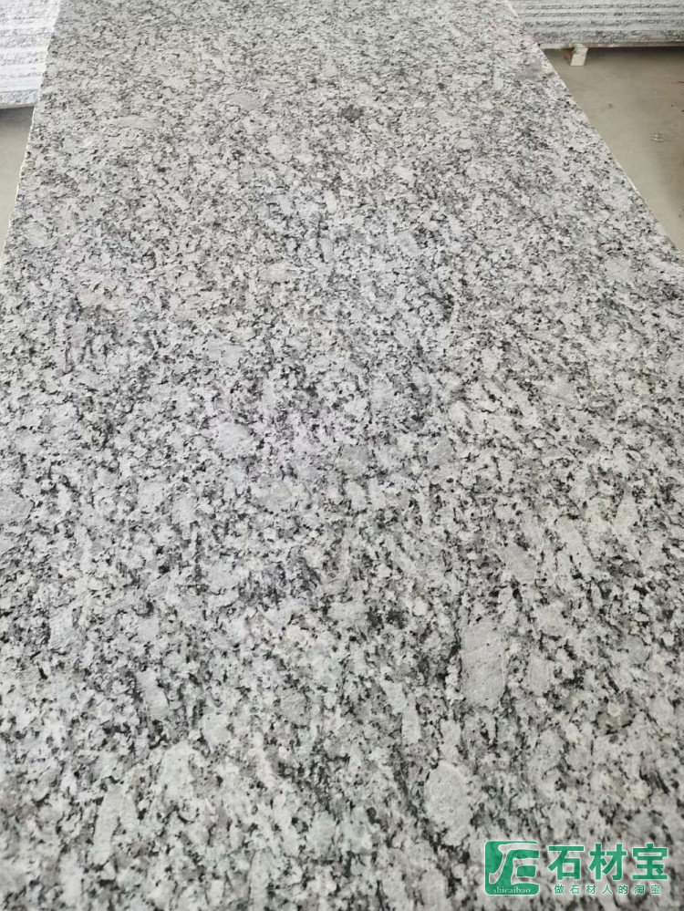 浪花白(海浪花)