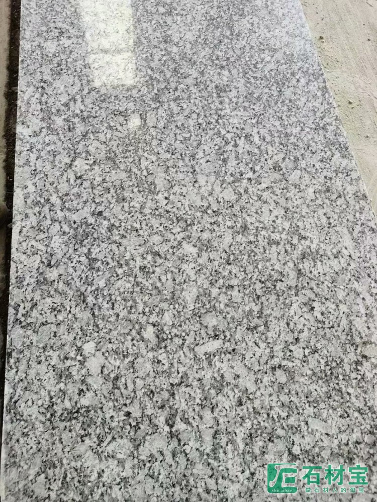 浪花白(海浪花)