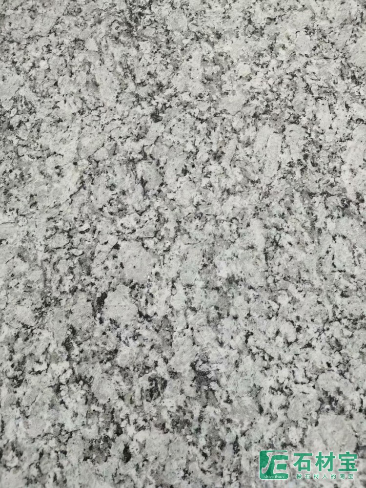 浪花白(海浪花)