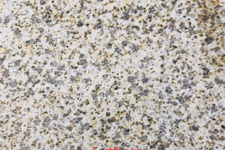 黄金麻大黄光面