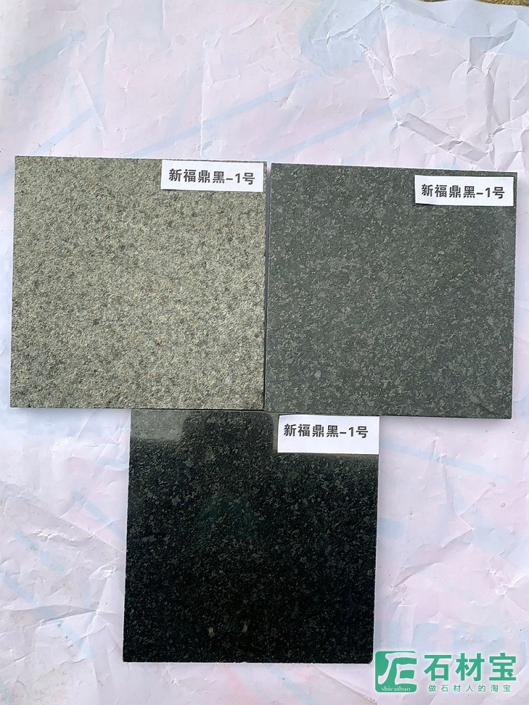 新福鼎黑1号