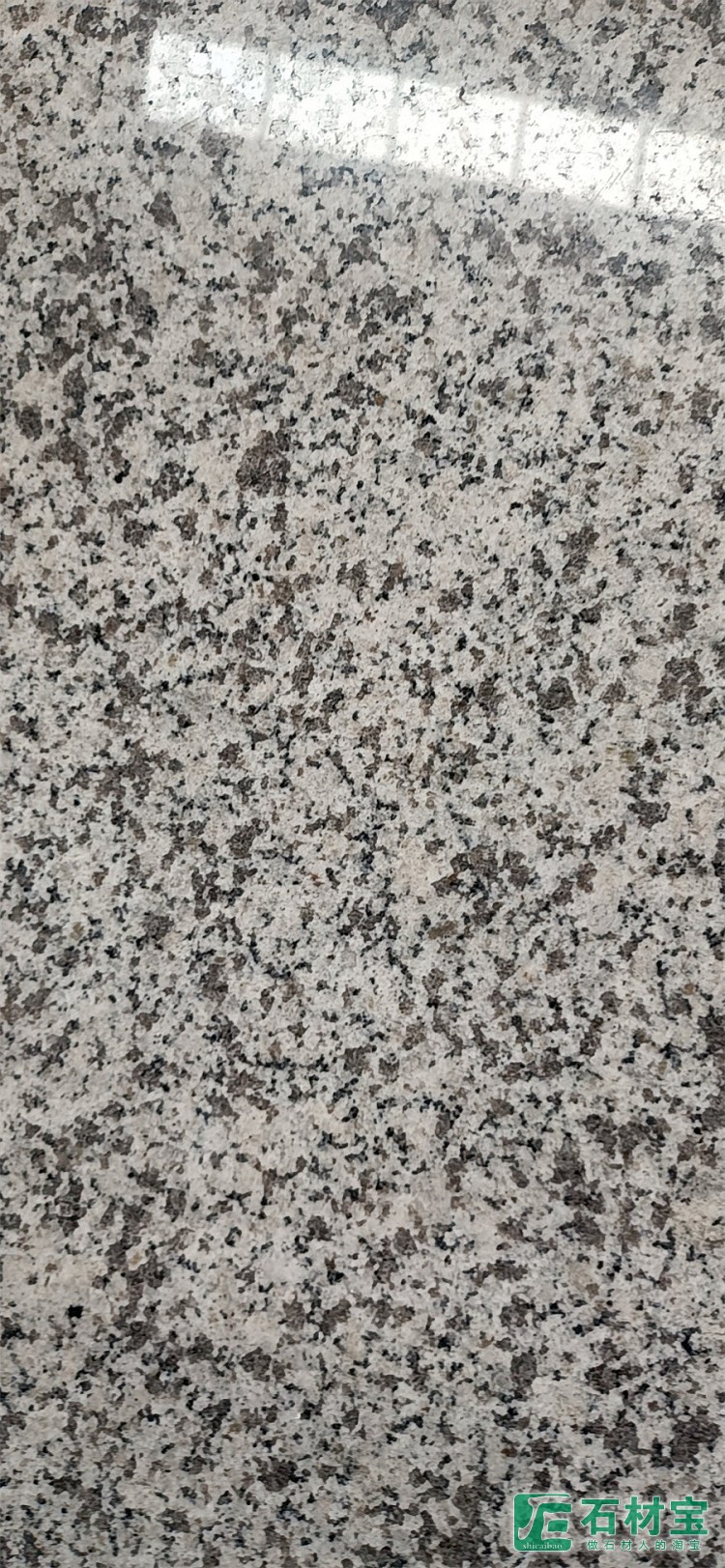 南阳白麻(河南白麻)