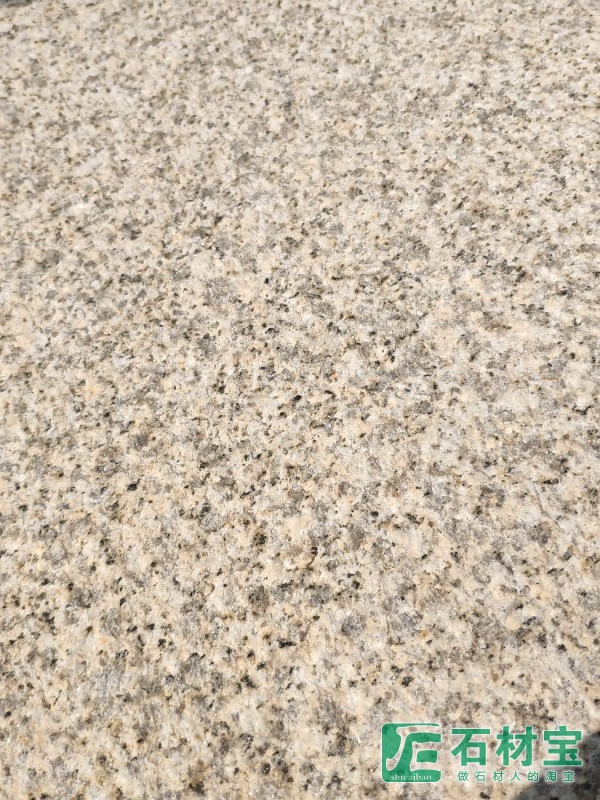 山东黄金荔枝面