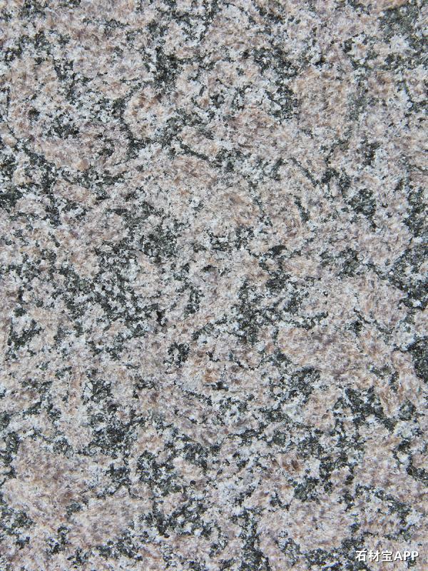 皇室棕钻荔枝面