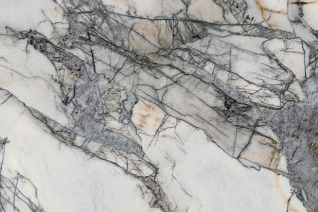 天堂鸟-JQA162712G309