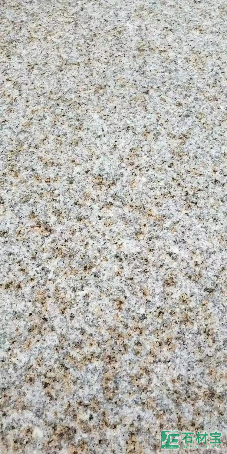 山东锈石荔枝面