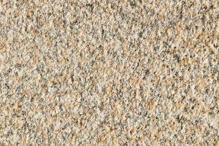 山东黄金麻荔枝面