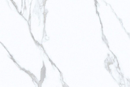 YB8206105-第二次意大利鱼肚白