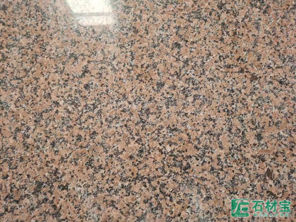 桂林红(粉红麻)中红