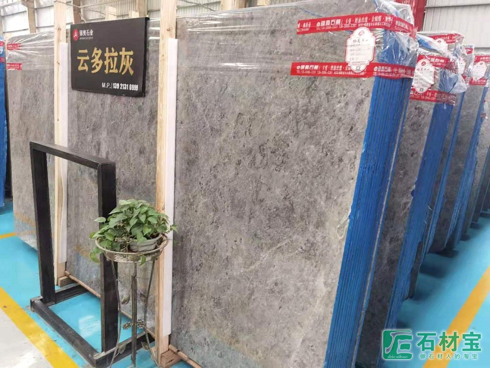 雪山飞狐(雪山银狐)