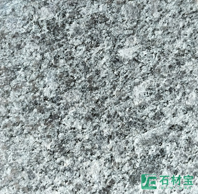 新珍珠兰火烧面