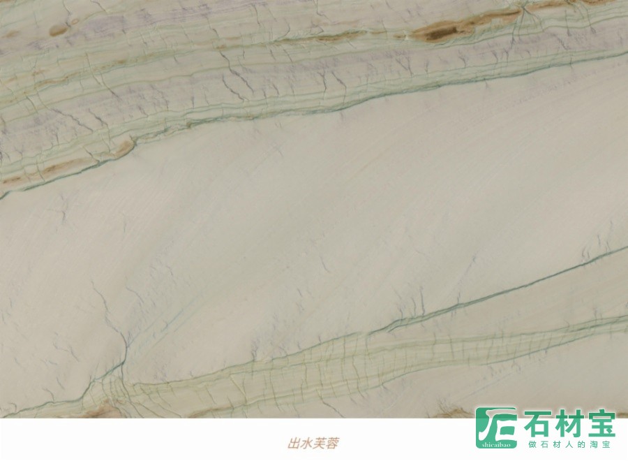 出水芙蓉奢石