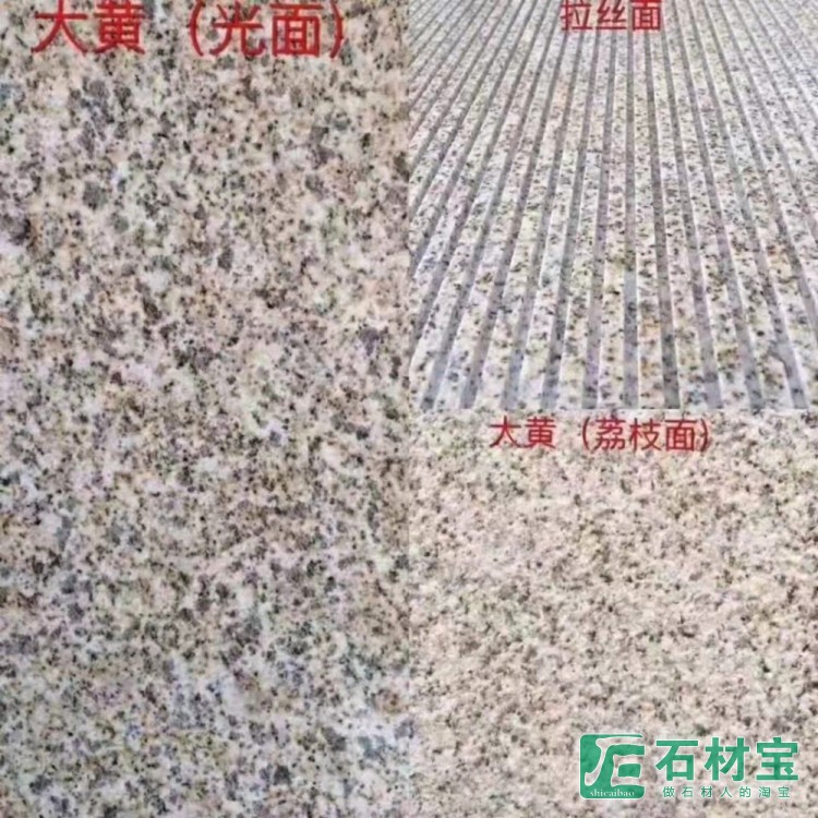 黄金麻大黄