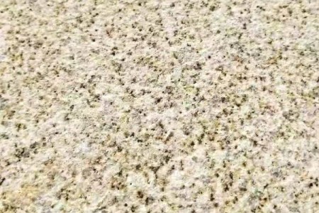 黄金麻中黄荔枝面
