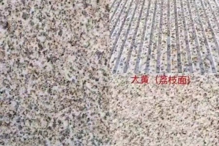 黄金麻大黄