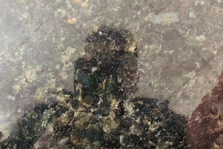 非洲新矿凤羽蓝