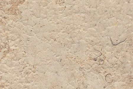 岩珀金（酸洗面）莱姆石石灰石