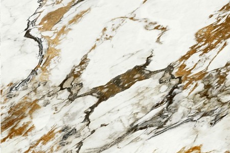 意大利金花白 JQA163206G73