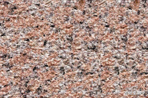 桂林红大红荔枝面