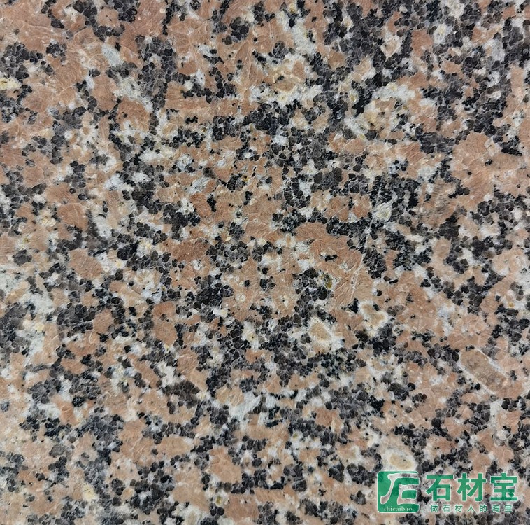 康保红