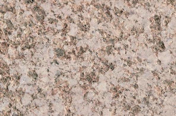 卡基诺金火烧面