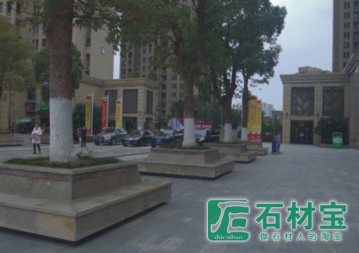 树穴