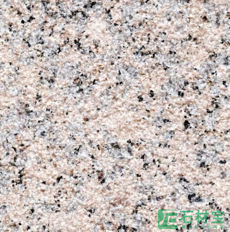 中国红钻荔枝面