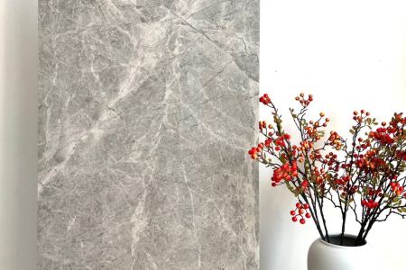 古堡灰ZB612032XD亚光面