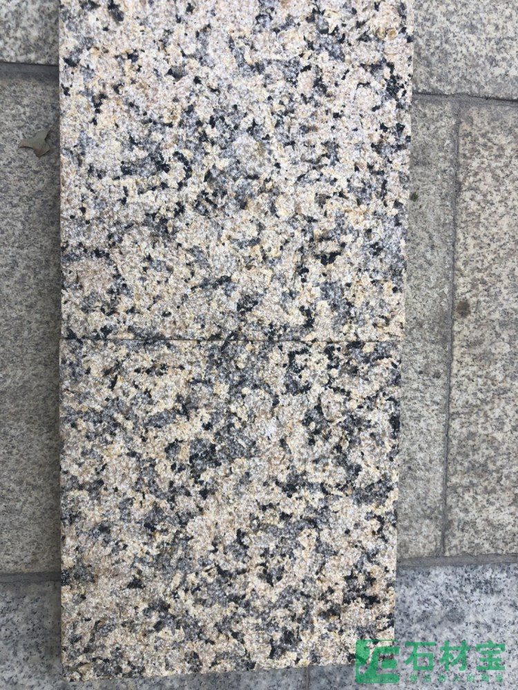 内蒙镶黄旗金钻麻荔枝面
