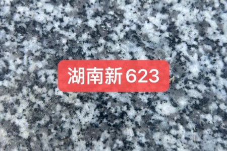 湖南新G623