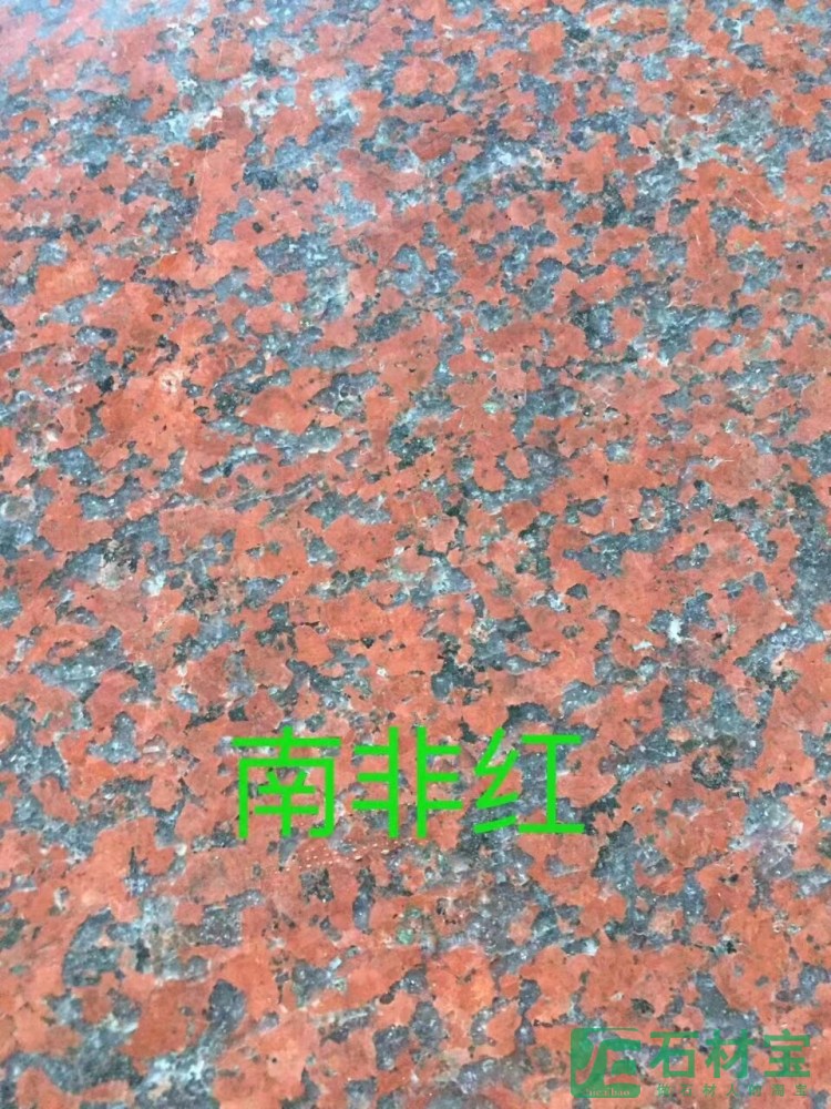 南非红