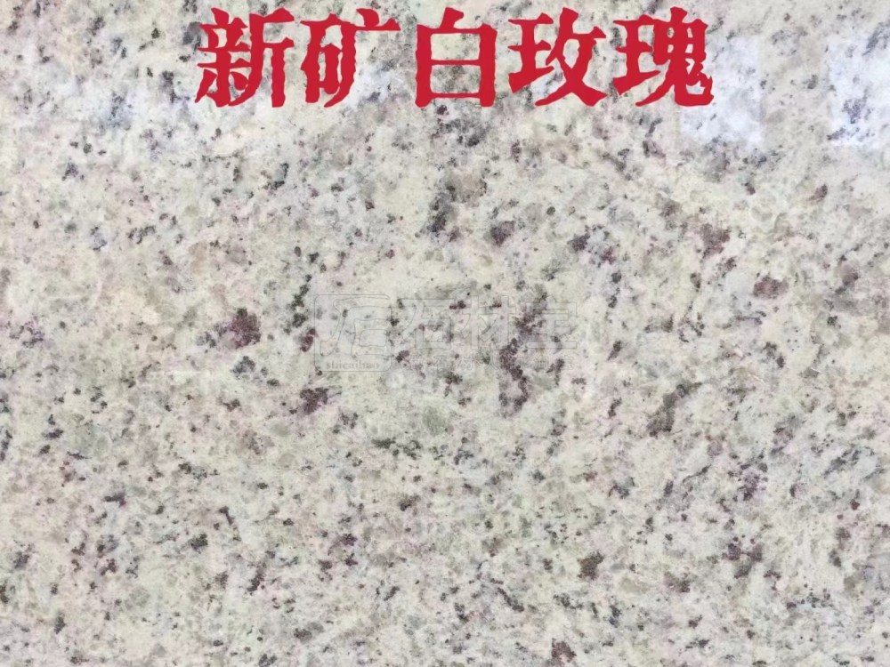 新矿白玫瑰