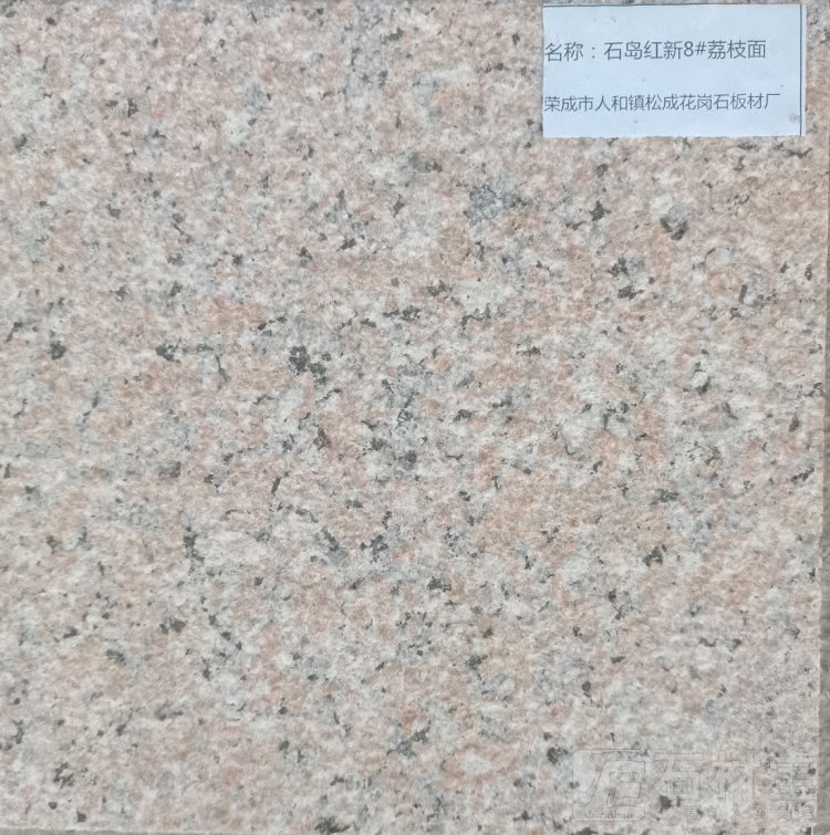 石岛红新8号荔枝面