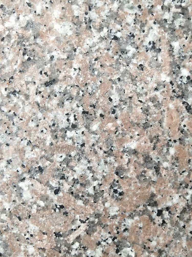 江西红18号矿火烧面