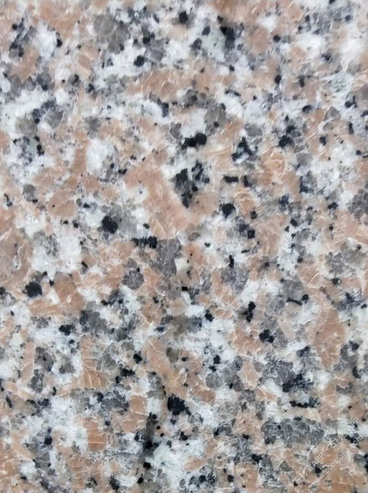 江西红18号大红