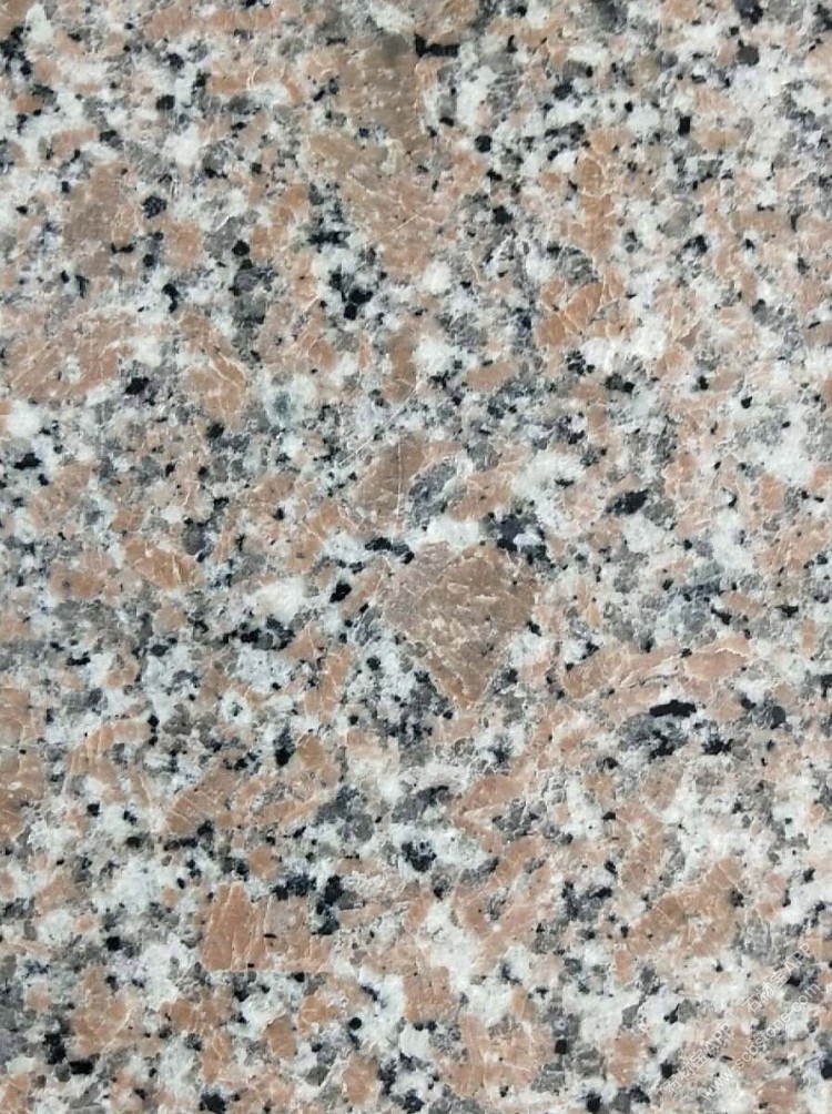 江西红18号大红