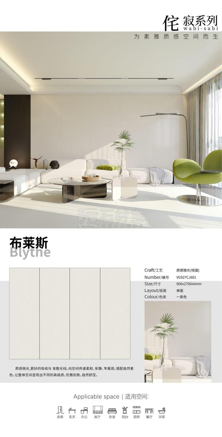 VG927CJ601布莱斯