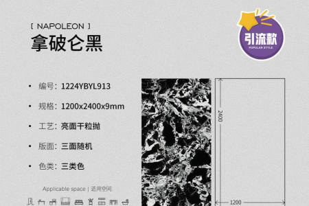 1224YBYL913拿破仑黑