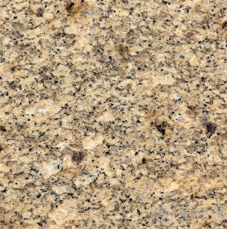茉莉金麻