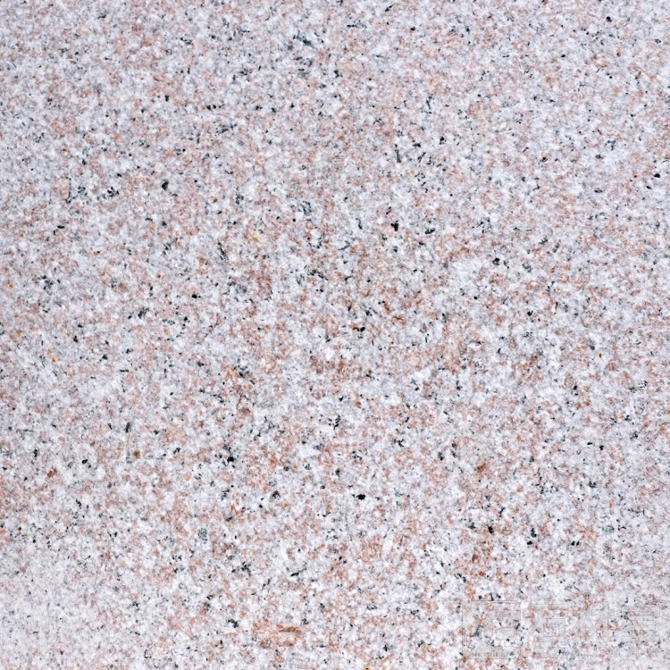 永定红中花红底荔枝