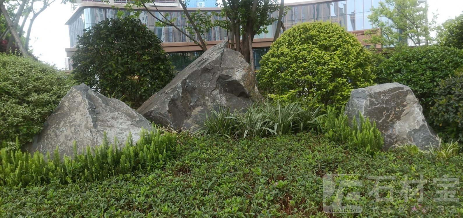 山西黑