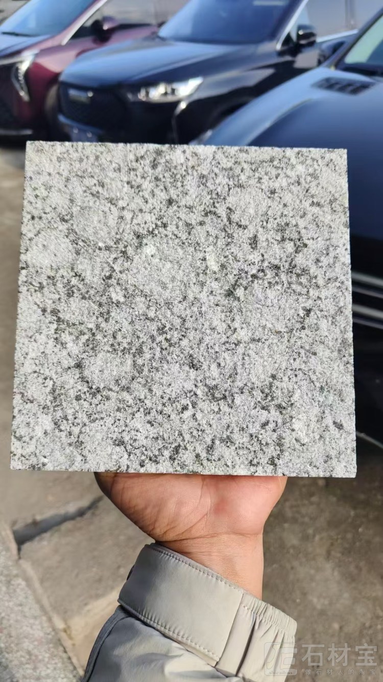 珍珠蓝 珍珠兰