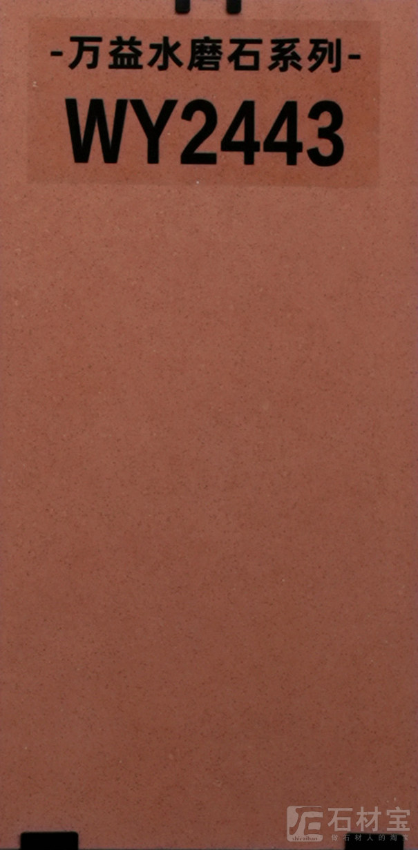 WY2443