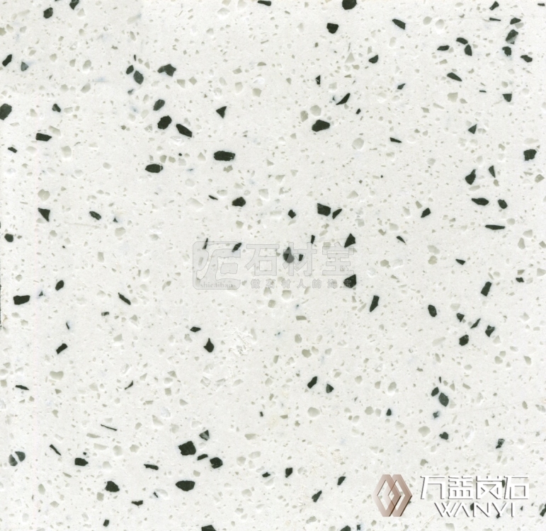 HSA004