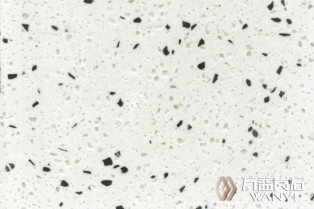 HSA004