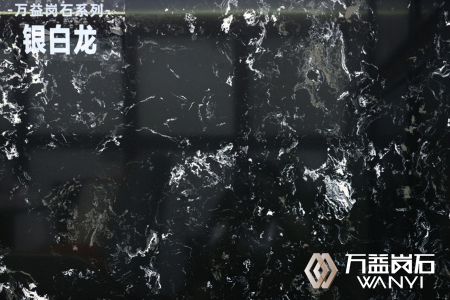 银白龙
